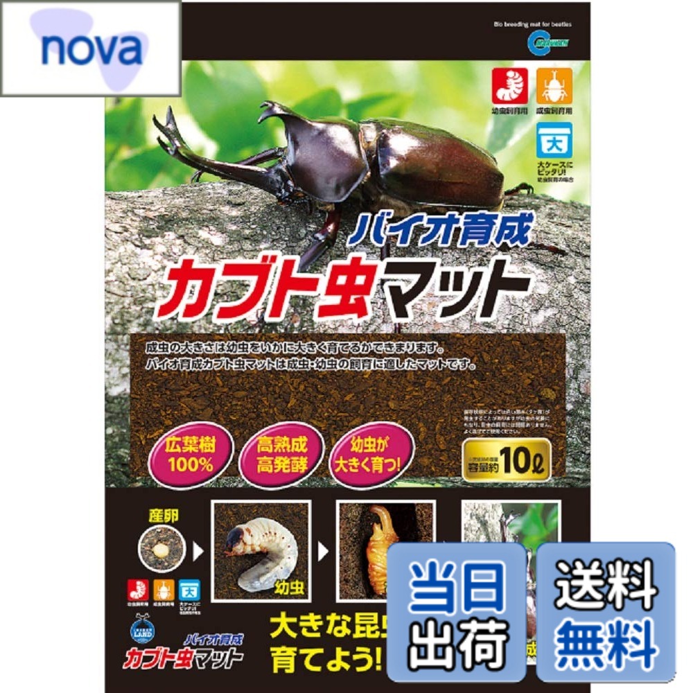 商品情報商品の説明商品紹介 カブトムシの成虫・幼虫に適したハイグレードタイプの昆虫マット 使用上の注意 昆虫の快適な飼育環境を維持するためにも2週間を目安にマットを交換してください。マットの交換時期は昆虫の飼育頭数、飼育環境によって異なります。全てのマットを交換すると環境変化によって幼虫がショックを受ける場合があるため、古いマットを3割程度残したうえで新しいマットの追加をお勧めします。新しいマットは古いマットにできるだけ水分と温度を合わせてください。本品は昆虫飼育用です。その他の目的には使用しないでください。商品自体が植物を天然由来で朽ちた植物をさらに発酵させて作られているため、広葉樹に含まれる樹液の甘ずっぱい臭いや排泄物の臭いに近い臭いを感じる場合がありますが、飼育には影響ありません。特に夏季の使い始めは菌が活性化するため、臭いが強くなりやすくなります。そのような場合は、通気性のある場所に保管し水分が多すぎる場合は乾燥させてください。土を掘り返して混ぜる事も有効です。幼児の手の届かない所に保管してください。昆虫や昆虫用品にさわる前やさわった後は、よく手を洗ってください。保存をされる場合は、直射日光・高温多湿な場所を避けて保管してください。保存状態によっては白い菌糸(タケ菌)が発生することがありますが幼虫の栄養にもなり、昆虫飼育には問題ありません。よく混ぜてご使用ください。本品は自然の木を使用しているため色などに多少の差違があります。国内の昆虫の生態系を壊さないためにも、外国産昆虫を放したり、逃げたりしないように飼育には十分注意しましょう。 原材料・成分 広葉樹 使用方法 本品に水分を含ませます。手で軽くにぎってできた団子にふれるとくずれる位が最適です。にぎったマットから水が出る場合は水分が多すぎです。昆虫の快適な飼育環境を維持するためにも2週間を目安にマットを交換してください。マットの交換時期は昆虫の飼育頭数、飼育環境によって異なります。全てのマットを交換すると環境変化によって幼虫がショックを受ける場合があるため、古いマットを3割程度残したうえで新しいマットの追加をお勧めします。新しいマットは古いマットにできるだけ水分と温度を合わせてください。主な仕様 本体重量:2000gbr原産国:日本本体サイズ (幅X奥行X高さ) :34x9x48cmbr商品モデル番号: M-703