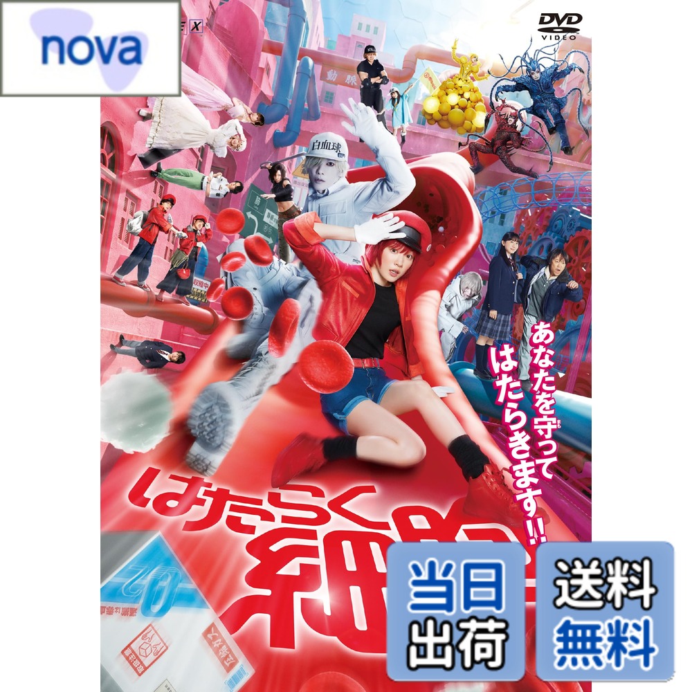 商品情報商品の説明内容紹介 【収録内容】 ◆本編DISC1枚 ※本編DISC：本編映像（バリアフリー日本語字幕付）、予告編・TVスポット集 　音声：2.0ch(本編映像/特典)、5.1ch(本編映像)、バリアフリー日本語音声ガイド(本編映像) ※仕様・特典は変更となる可能性がございます。 ★イントロダクション はたらく細胞ワンダーランドへようこそ！ シリーズ累計1,000万部突破のメガヒットシリーズがまさかの実写映画化！ 笑って、泣けて、タメになる、ワクワク楽しいエンターテイメント超大作！ 永野芽郁＝赤血球・佐藤健＝白血球（好中球）のW主演に加え、人間の親子役で芦田愛菜・阿部サダヲ、 そして山本耕史、仲里依紗、松本若菜、染谷将太、板垣李光人、加藤諒、加藤清史郎、マイカピュ、 深田恭子、片岡愛之助、新納慎也、小沢真珠、Fukase（SEKAI NO OWARI）らの出演が続々決定！ 監督は屈指のヒットメーカー武内英樹（『翔んで埼玉』『テルマエ・ロマエ』）。アクション演出は大内貴仁（『るろうに剣心』『幽☆遊☆白書』）、主題歌はOfficial髭男dismの「50％」に決定！ 日本エンタメ界を代表するドリームチームが、誰も見たことのない独創的でユニークな世界を作り上げる。 映画館だからこそ楽しめる唯一無二の映像体験。この冬、細胞たちが、はたらきます！ ★ストーリー 映画史上最 ""小"" の主人公 —— その名は、細胞。 人間の体内の細胞、その数なんと37兆個。 酸素を運ぶ赤血球、細菌と戦う白血球、そのほか無数の細胞たちが、 あなたの健康と命を守るために日夜全力ではたらいているのだ。 高校生・漆崎日胡 (芦田愛菜) は、父親の茂 (阿部サダヲ) と二人暮らし。 まじめな性格で健康的な生活習慣の日胡の体内の細胞たちは、いつも楽しくはたらいている。 一方、不規則不摂生に日々を過ごす茂の体内では、ブラックな労働環境に疲れ果てた細胞たちがいつも文句を言っている。 親子でも体の中はえらい違いだった。仲良し親子のにぎやかな日常。 しかし、その体内への侵入を狙う病原体たちが動き始める…。 漆崎親子の未来をかけた、細胞たちの「体内史上最大の戦い」が幕を開ける！？ ★キャスト 赤血球 AE3803：永野芽郁 白血球 (好中球) U-1146：佐藤 健 漆崎日胡：芦田愛菜 漆崎 茂：阿部サダヲ キラーT細胞：山本耕史 NK細胞：仲里依紗 マクロファージ：松本若菜 血小板：マイカピュ ヘルパーT細胞染谷将太 新米赤血球：板垣李光人 先輩赤血球：加藤 諒 武田 新：加藤清史郎 肝細胞：深田恭子 肺炎球菌：片岡愛之助 化膿レンサ球菌：新納慎也 黄色ブドウ球菌：小沢真珠 ：Fukase (SEKAI NO OWARI) 鶴見辰吾 光石 研 ★スタッフ 原作：清水茜『はたらく細胞』(講談社「月刊少年シリウス」所蔵) 原田重光・初嘉屋一生・清水茜『はたらく細胞BLACK』(講談社「モーニング」所蔵) 監督：武内英樹 脚本：徳永友一 音楽：Face 2 fAKE 製作：映画「はたらく細胞」製作委員会 制作プロダクション：ツインズジャパン 配給：ワーナー・ブラザース映画 ★主題歌 「50％」Official髭男dism (IRORI Records / PONY CANYON Inc.) ★公式HP wwws.warnerbros.co.jp/saibou-movie/main.html 内容（「Oricon」データベースより） 人間の体内の細胞、その数なんと37兆個。酸素を運ぶ赤血球、細菌と戦う白血球、そのほか無数の細胞たちが、健康と命を守るために日夜奮闘している。高校生・漆崎日胡は、まじめな性格で健康的な生活習慣で、体内の細胞たちは、いつも楽しくはたらいている。一方、父親の茂は不規則不摂生に日々を過ごし、体内ではブラックな労働環境に疲れ果てた細胞たちがいつも文句を言っている。親子でも体の中はえらい違いだった…。主な仕様
