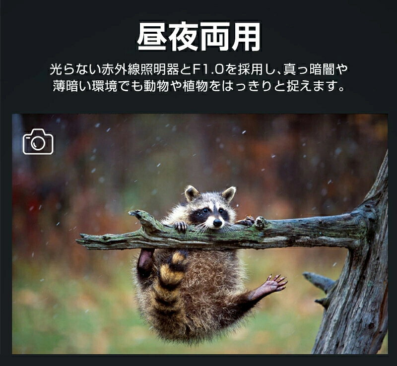 �ʥ��ȥӥ���� �д�� ����800m 5�ܥǥ����륺���� ����Ψ ˾��� �Ż�� ����� �Ż륹������ �Ż����� ������� �վ������꡼�� 3800mAh�Хåƥ꡼ ������ IP54�ɿ� ��Ļ ưʪ��