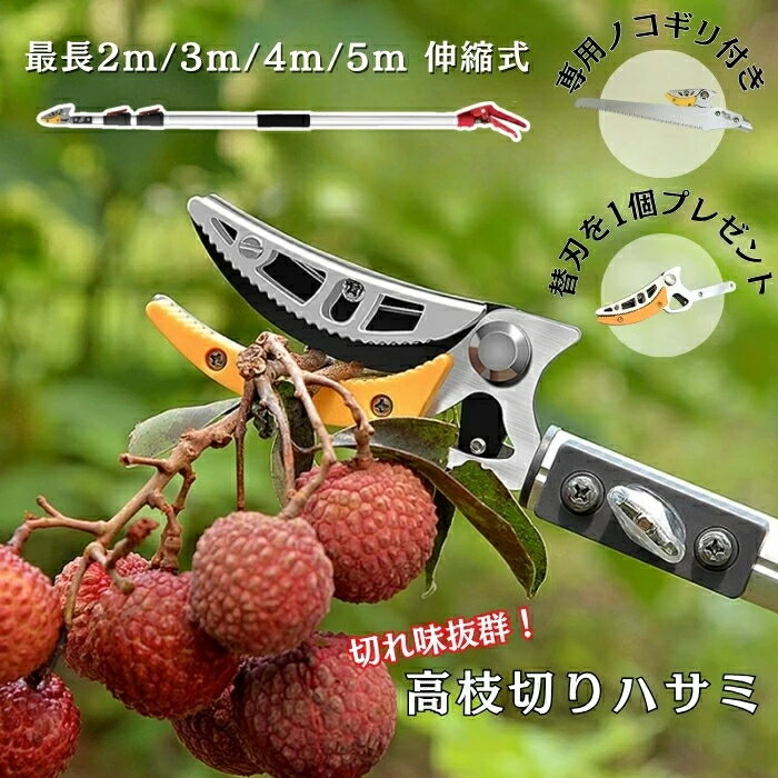 乐天商城 - 高枝切りバサミ ノコギリ 高枝切鋏 伸縮式 剪定鋏 はさみ ベルト付き 高所太枝切鋏 高枝切り鋏 2m3m4m5m 強力 軽量 太い枝 高枝切り えだきりばさみ 枝切り鋏 高枝バサミ 枝切ばさみ 木を切る 高枝 女性