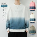 スウェットトレーナー オーバーサイズ レディース メンズ ラグジュ 立体 3Dプリント 4colors 男女兼用 ユニセックス ビッグシルエット メンズトレーナ...