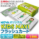 【訳あり アウトレット】KIDS NAVI (フラッシュカード)※語学力にあわせた3レベルから選べます!【20P28Sep16】