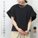 綿天竺袖フリルプルオーバー カットソー Tシャツ 袖フレア ボーダー 無地 ワイド 体型カバー 袖フリル 綿 コットン 春 夏 30代 40代 レディース