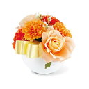 造花 フェイクフラワー フラワーアレンジメント オレンジ カーネーション CT触媒 消臭 抗菌 空気清浄 メルシーシュー