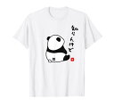 半袖 知らんけど パンダ おもしろい 文字 個性的 夏 プレゼント 贈り物 前面プリント スポーツ ユーモア ギャグ Tシャツ(3)