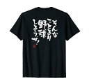 「そんなことより野球しようぜ」文字入り おもしろ 筆文字 面白い 服 面白い Tシャツ
