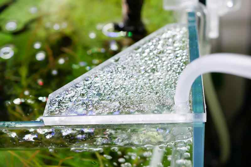 エアガード【AQUASHOP wasabi】水槽の角に置くだけ簡単エアレーションの水しぶきをガッチリガード