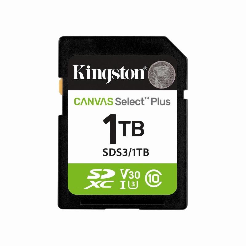 キングストンキャンバス。 FLASH_MEMORY