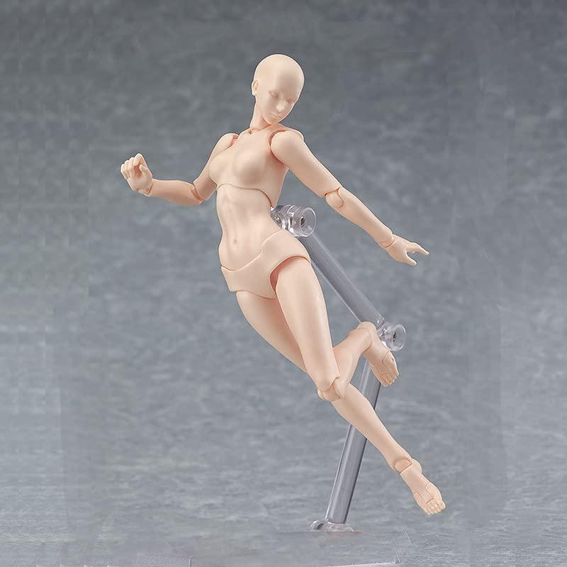 皮膚の色 デッサン用 モデル人形 男女人形 可動式デッサン人形 モデル人形 キャラクター イラスト デッ..