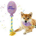 HOMEBASICS 犬 おもちゃ 噛むおもちゃ 誕生日グッズ ぬいぐるみ 誕生日ケーキ 犬 おもちゃ 噛む玩具 バースデー ペットお誕生日 飾り 小動物 プレ...