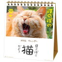 アクティブコーポレーション 2025年 カレンダー 卓上 日なたぼっこ猫だより 25ACL-539 2025年 1月始まり