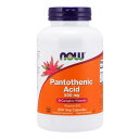 【NowFoods公式販売店】 パントテン酸 500mg 250粒 ベジカプセル ナウフーズ【Now Foods】Pantothenic Acid 500 mg 250 Vegetable Capsules その1