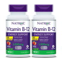 【送料無料】 2個セット ビタミンB-12 5000mcg 100粒 チュワブル ストロベリー味 ナトロール【Natrol】Vitamin B-12 5,000 mcg 100 Tablets
