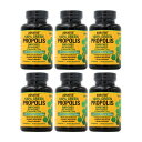 【送料無料】6個セット 100% グリーン プロポリス アルテフィリンC&フラボノイド配合 17mg 60粒 カプセル アオラトスネイチャー【Aoratos N...