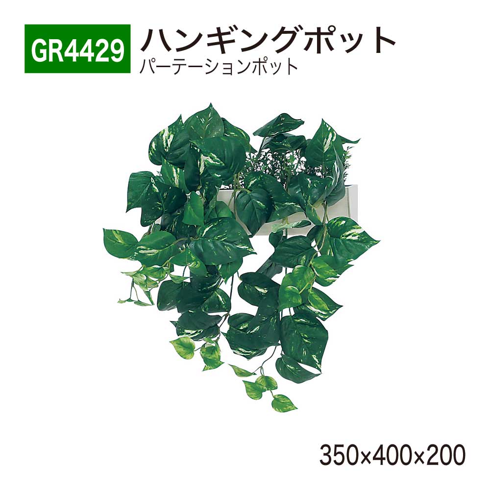 ŹBELK GreenMode ٥륯 ꡼⡼ GR4429 ϥ󥮥󥰥ݥå 350400200 ѡơݥå 磻 饤 եå  ѡƥ Ȥ䤹   ե꡼ ͹տʪ ͹ ¤  ƥꥢ  