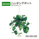 【正規代理店】BELK GreenMode ベルク グリーンモード GR4455 ハンギングポット 300×300×300 吊下げポット ミニ キューブ チェー...