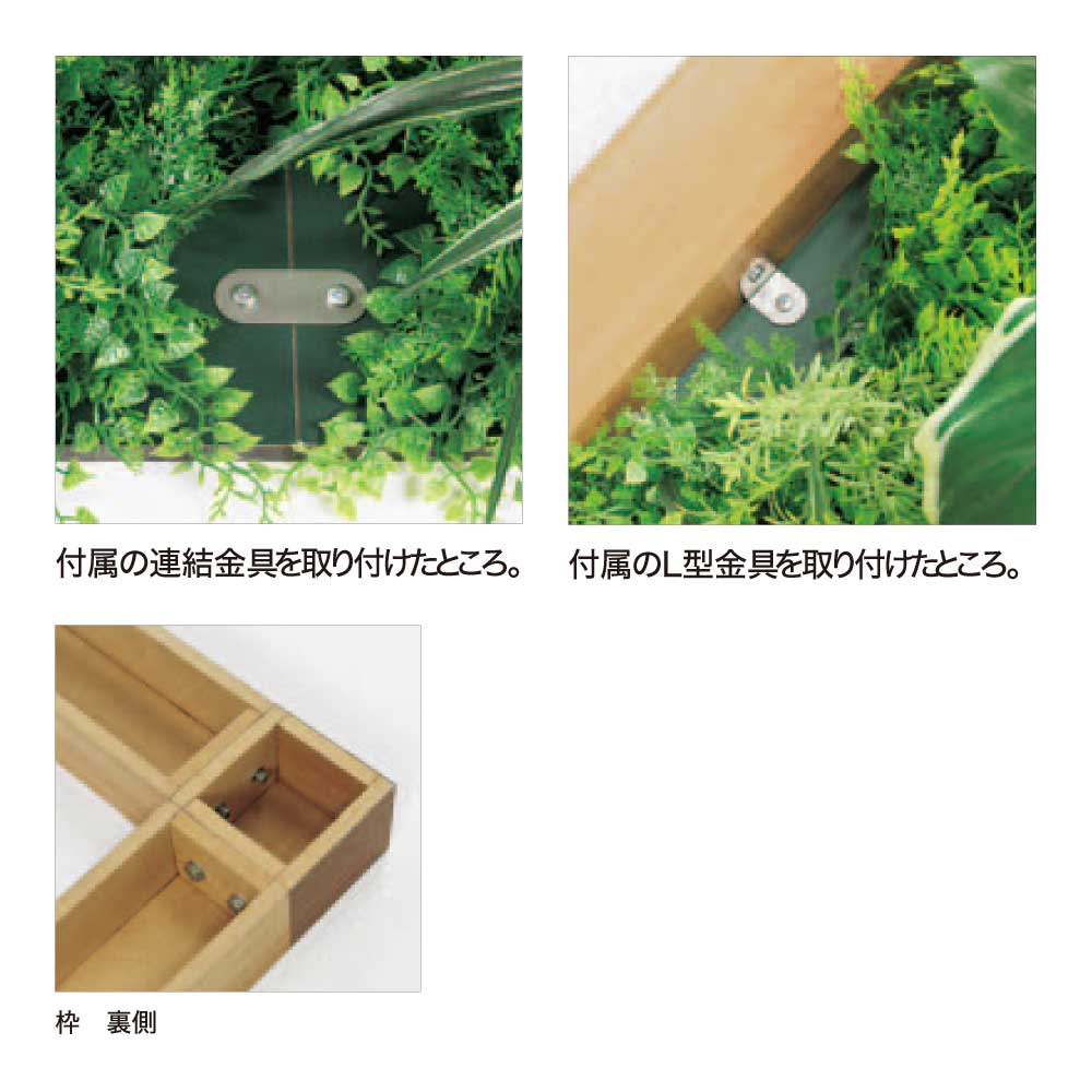 ����������Ź��BELK GreenMode �٥륯 ���꡼��⡼�� GM5721 �ե������꡼�� 1560��1800��1560 �ڿ��� ������ �Ȥ߹�碌 ���� �ѡ��ơ������ �ѡ��ƥ������ ���� �Ȥ��䤹�� ������� ���� �ե��������꡼�� �͹����տ�ʪ �͹����� ¤�� ���� ����ƥꥢ ������ ��