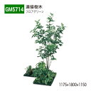 【正規代理店】BELK GreenMode ベルク グリーンモード GM5714 フロアグリーン 1175×1800×1150 土植型 組み合わせ 植栽 新感覚...