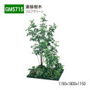 【正規代理店】BELK GreenMode ベルク グリーンモード GM5715 フロアグリーン 1150×1800×1150 土植型 組み合わせ 植栽 新感覚...