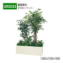 【正規代理店】BELK GreenMode ベルク グリーンモード GR5033 寄せ植えプランター 1300×2100×1000 フィカスベンジャミン BOX型 丈夫 上質 ボリューム 華やか 置くだけ 使いやすい おしゃれ 癒し フェイクグリーン 人工観葉植物 人工樹木 造花 装飾 インテリア 屋内用 国産