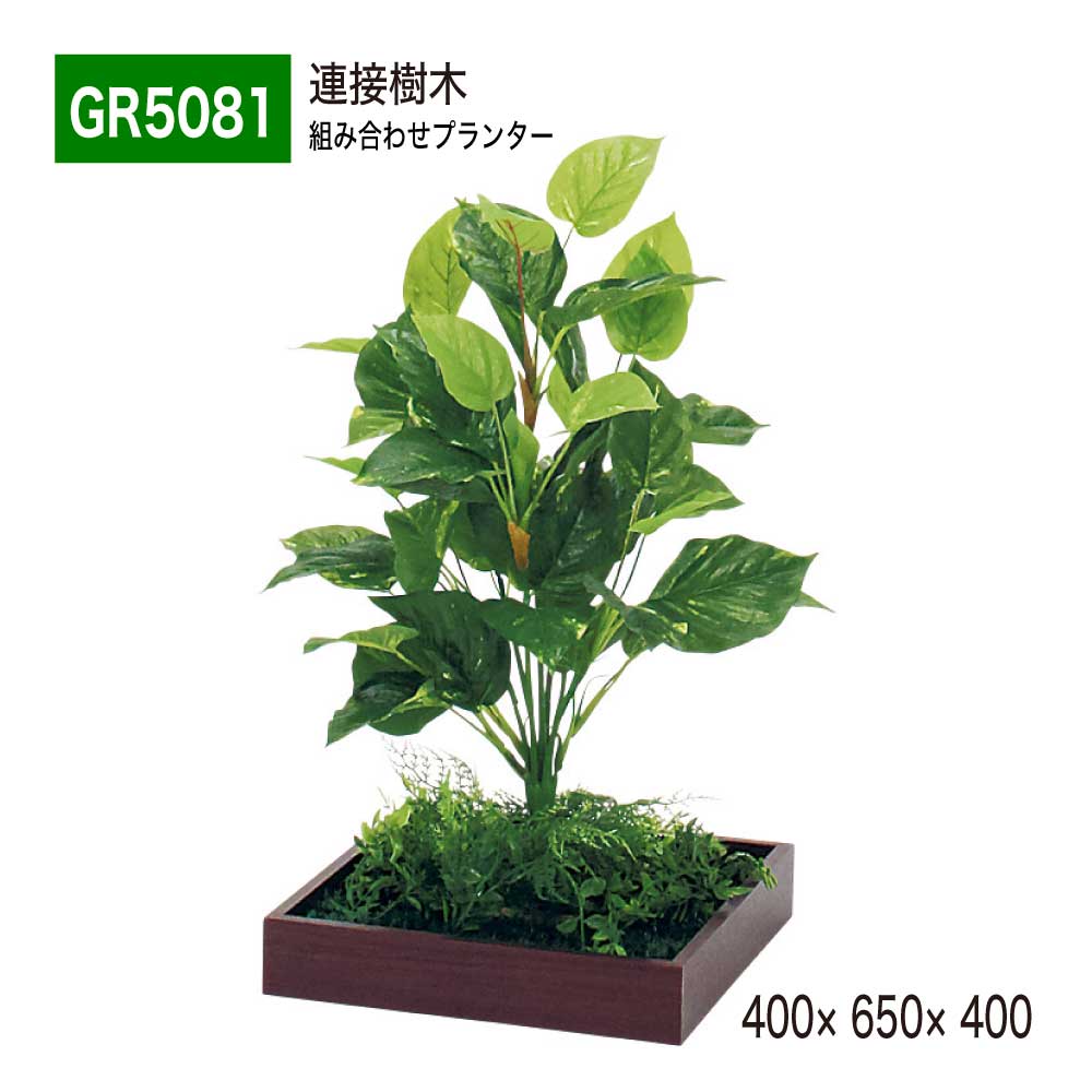 ����������Ź��BELK GreenMode �٥륯 ���꡼��⡼�� GR5081 Ϣ�ܼ��� 400��650��400 �Ȥ߹�碌�ץ�󥿡� ���� ���� �ȥ쥤����...