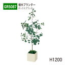 【正規代理店】BELK GreenMode ベルク グリーンモード GR5087 樹木プランター 500×1200×500 ボックスプランター 小サイズ ミニ ...