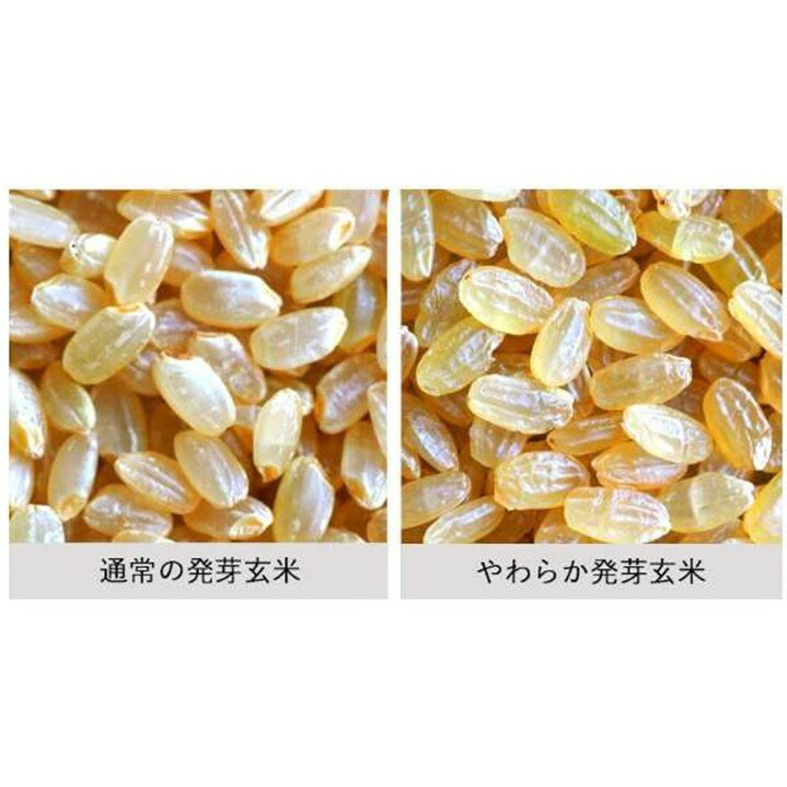 �ߥ륭���ץ�󥻥�ȯ�긼��500g���ͥ��ݥ�������̵�����������衡�򹯻ָ����㤤���