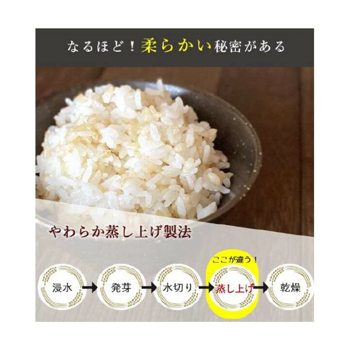 ミルキープリンセス発芽玄米500g　ネコポス　送料無料　玄米生活　健康志向　買い回り