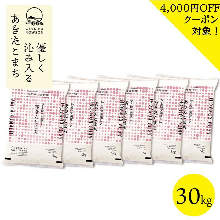 4000円OFFクーポン対象！あきたこまち 30kg 送料無料 脱気包装5kg×6袋 選べる精米...