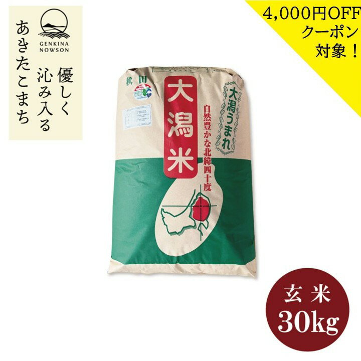 受付終了②農家直取引　R7年産 玄米 あいちのかおり 30kg 楽天市場】あいちのかおり 玄米 30kgの通販