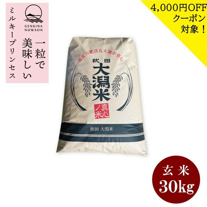 4000円OFFクーポン対象！数量限定 ミルキープリンセス30kg玄米　送料無料 2025年産 令和7年産 1等 秋田県産 農家直送 送料無料