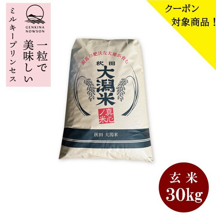 クーポン対象商品！ミルキープリンセス30kg玄米　送料無料 2025年産 令和7年産 1等 秋田県産 農家直送 送料無料