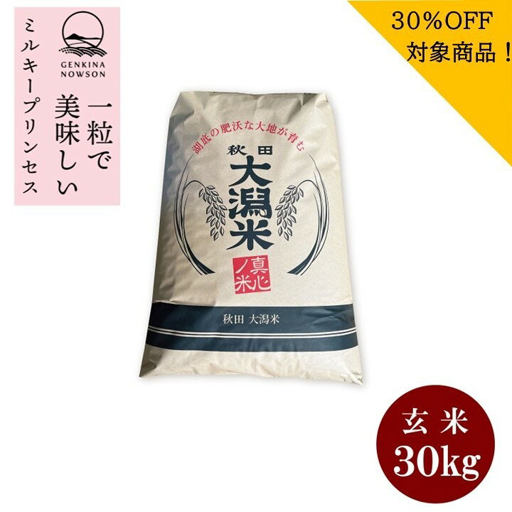 30％OFF！最終売り尽くしセール！ミルキープリンセス30kg玄米　送料無料 2025年産 令和7年産 1等 秋田県産 農家直送 送料無料 nowson-10000332 元気なNOWSON(のうそん) パッケージ画像
