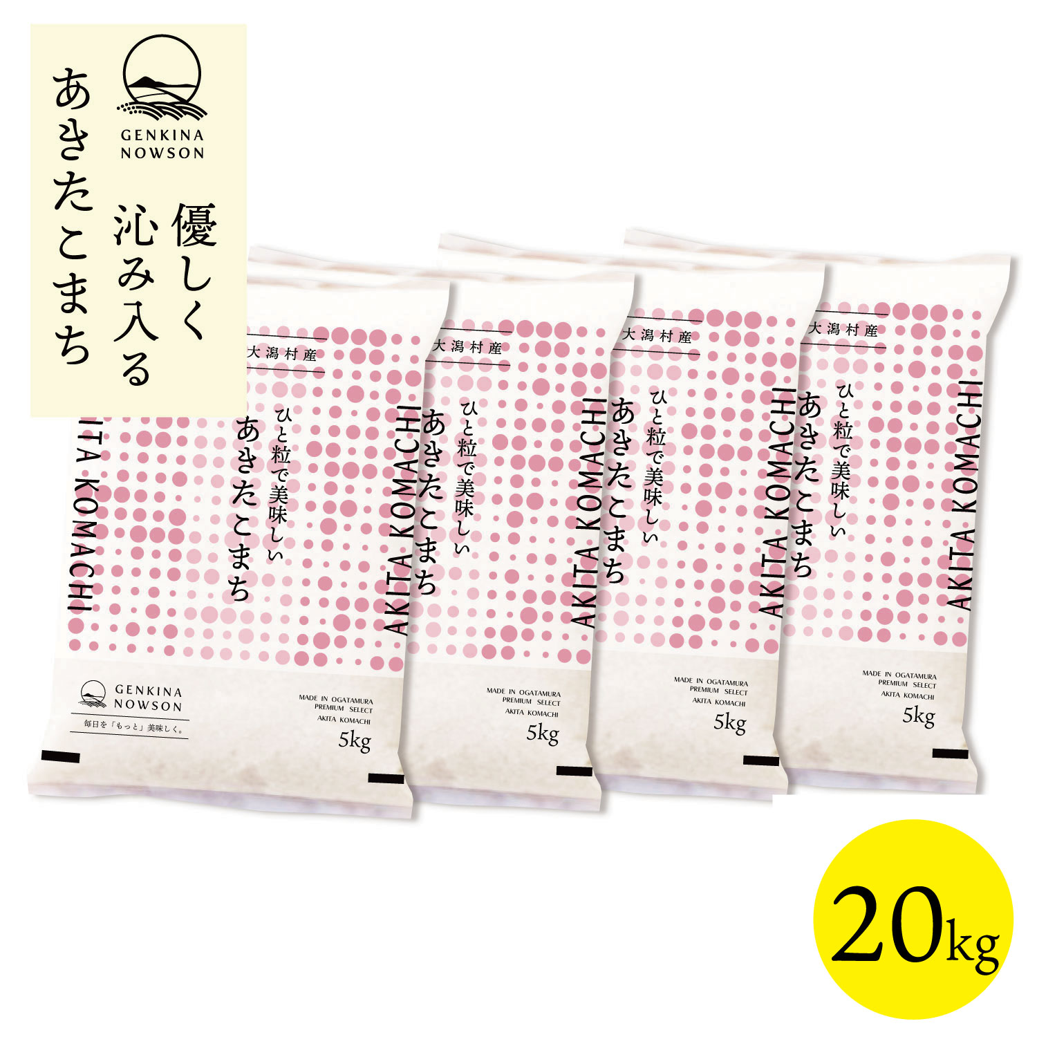 あきたこまち 20kg 送料無料 脱気包装5kg×4袋 選べる精米（白米／無洗米) 令和7年産 秋田県産 農家直送 小分