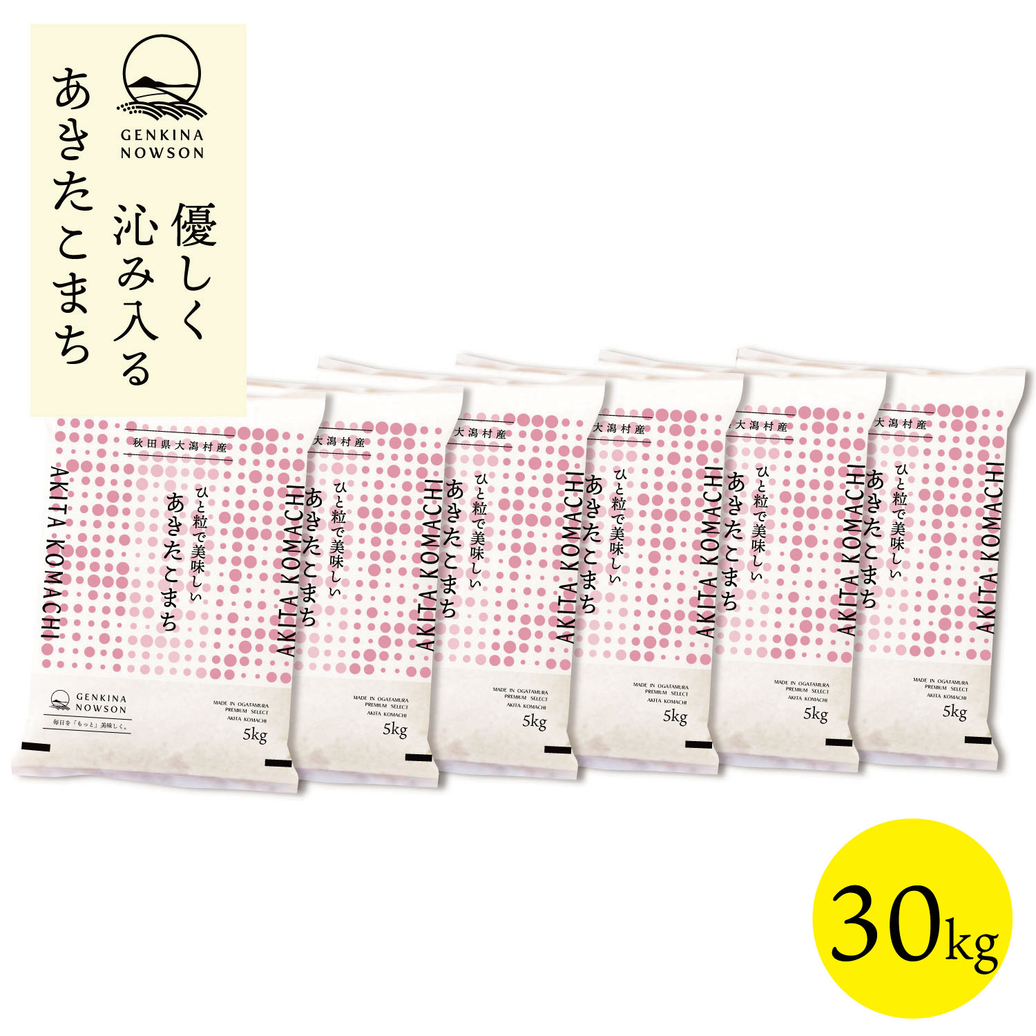 あきたこまち 30kg 送料無料 脱気包装5kg×6袋 選べる精米（白米／無洗米）令和7年産 秋田県産 農家直送 小分