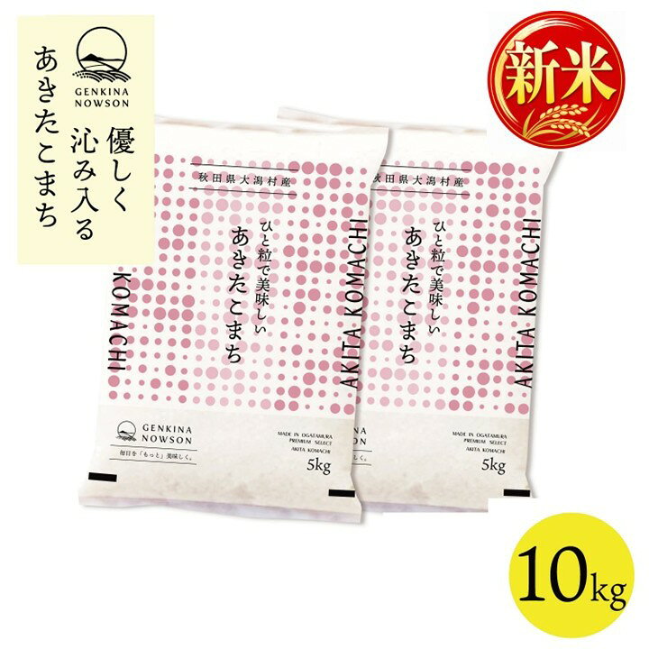 新米出荷開始！あきたこまち 10kg 送料無料 脱気包装5kg×2袋 選べる精米（白米／無洗米）令和8年産 秋田県産 農家直送 小分