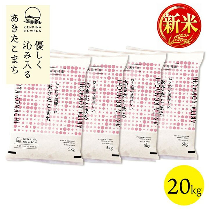 新米出荷開始！あきたこまち 20kg 送料無料 脱気包装5kg×4袋 選べる精米（白米／無洗米) 令和8年産 秋田県産 農家直送 小分 nowson-10000131 元気なNOWSON(のうそん) パッケージ画像