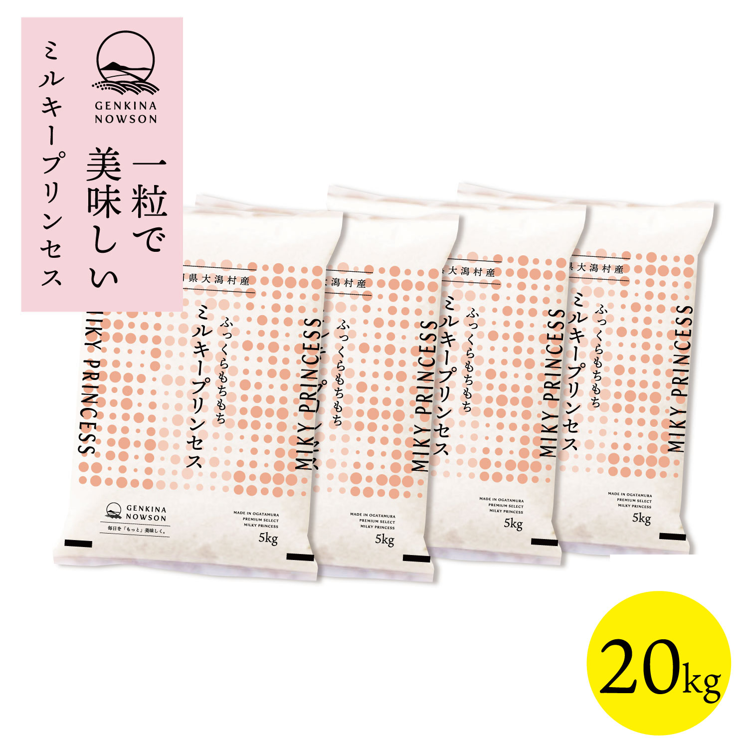 数量限定 ミルキープリンセス 20kg 送料無料 脱気包装5kg×4袋 選べる精米（白米／無洗米）2025年産 令和7年産 秋田県産 農家直送 小分