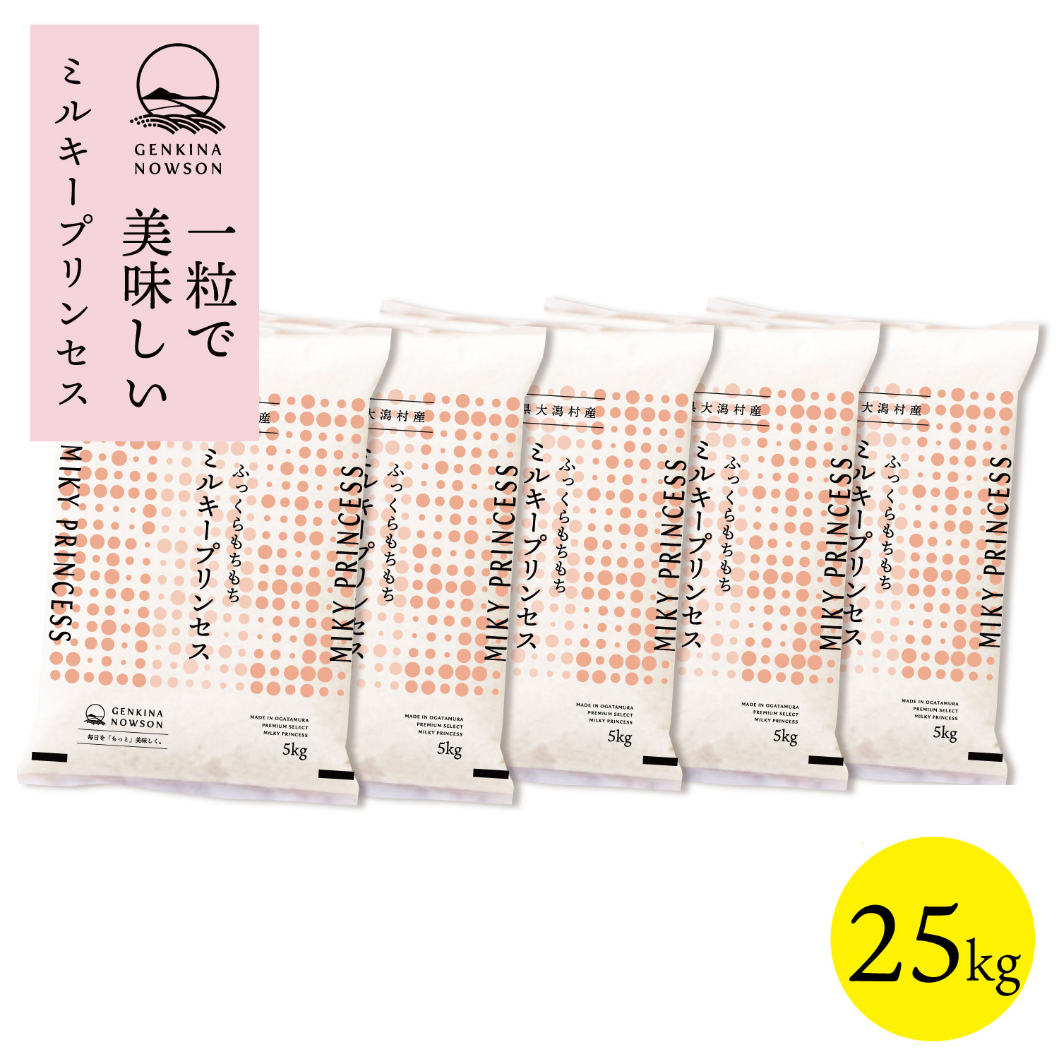 数量限定 ミルキープリンセス 25kg 送料無料 脱気包装5kg×5袋 選べる精米（白米／無洗米）2025年産 令和7年産 秋田県産 農家直送 小分