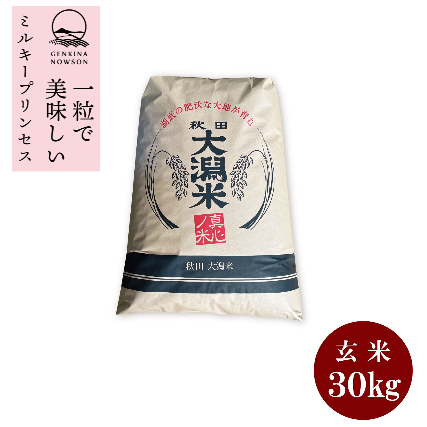 数量限定 ミルキープリンセス30kg玄米　送料無料 2025年産 令和7年産 1等 秋田県産 農家直送 送料無料
