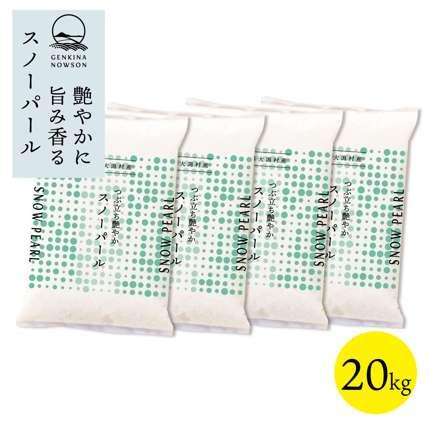 数量限定 スノーパール 20kg 送料無料 脱気包装5kg×4袋 選べる精米（白米／無洗米）2025年産 令和7年産 秋田県産 農家直送 小分