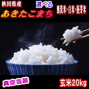 【真空(小袋対応)+送料込み】農家直送 秋田県産 令和元年産　あきたこまち 玄米 20kg(5kg×4袋) ★選べる精米後18kg(4.5kg×4袋)【白米 無洗米 胚芽米】★【米 20kg 送料込み】【米20kg】【玄米20kg】