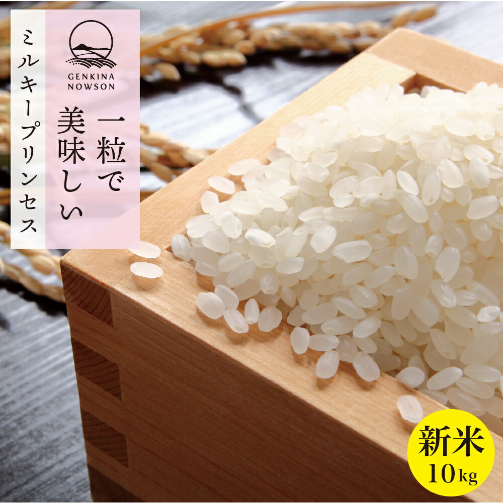 新米予約受付開始!11月上旬出荷予定 ミルキープリンセス 10kg 送料無料 真空パック5kg×2袋 選べる精米(玄米/胚芽米/白米/無洗米)2023年産 令和5年産 秋田県産 農家直送 小分
