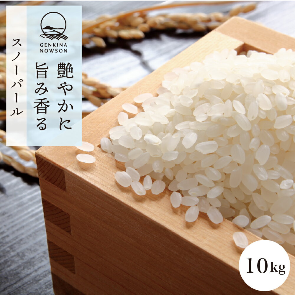 スノーパール 10kg 送料無料 真空パック5kg×2袋 選べる精米（玄米／胚芽米／白米／無洗米）2023年産 令和5年産 秋田県産 農家直送 小分のサムネイル
