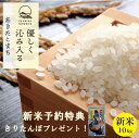 大好評！お買い物マラソン期間限定！新米きりたんぽつき！あきたこまち 10kg (精米後9kg) 送料無料 真空パック5kg（精米後4.5kg）×2袋 選べる精米（玄米／胚芽米／白米／無洗米）2021年産 令和3年産 秋田県産 農家直送 小分