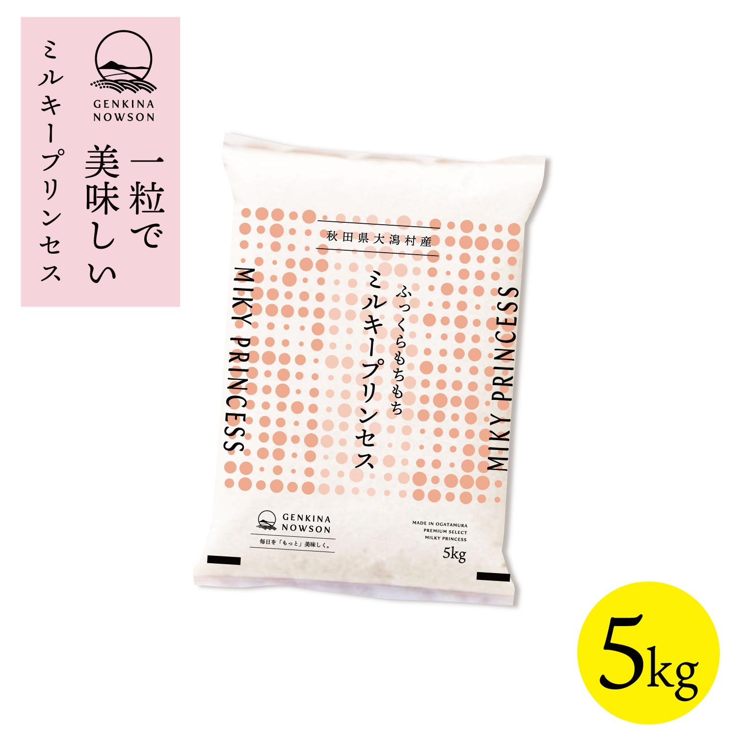数量限定販売 ミルキープリンセス 5kg 送料無料 脱気包装5kg×1袋 選べる精米（白米／無洗米）2025年産 令和7年産 秋田県産 農家直送 小分