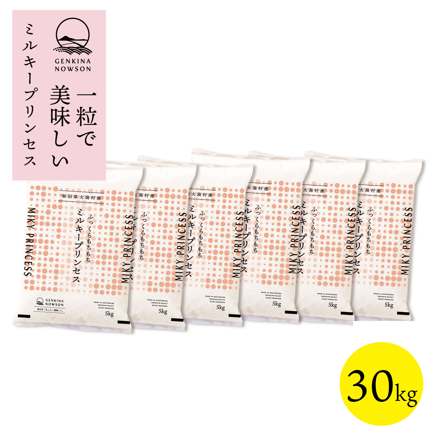 数量限定 ミルキープリンセス 30kg 送料無料 脱気包装5kg×6袋 選べる精米（白米／無洗米）2025年産 令和7年産 秋田県産 農家直送 小分