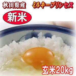 新米開始【真空(小袋対応)+送料無料】★ 農家直送 秋田県産 令和元年産 ミルキープリンセス 玄米 20kg(5kg×4袋) ★選べる精米後18kg(4.5kg×4袋)【白米 無洗米 胚芽米】【米 20kg】【米20kg】【玄米20kg】