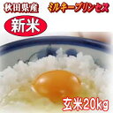 新米開始【真空(小袋対応)+送料無料】★ 農家直送 秋田県産...