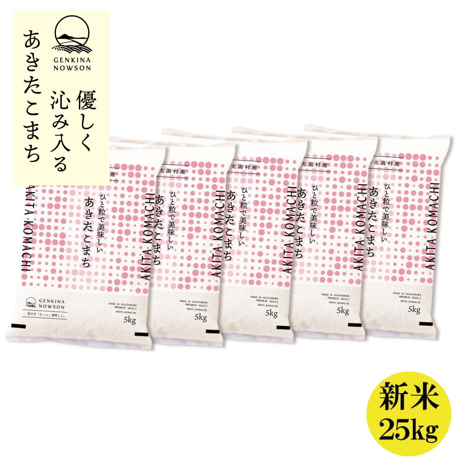 あきたこまち 25kg 送料無料 脱気包装5kg×5袋 選べる精米（白米／無洗米）令...